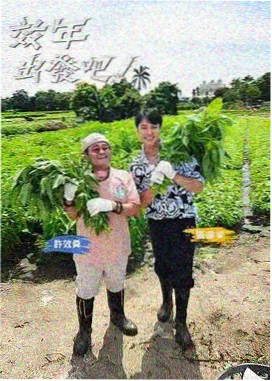 琪琪影视-奔跑吧